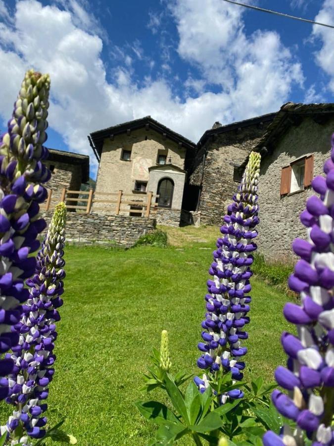 Albergo Casa Alpina San Luigi 캄포돌치노 외부 사진