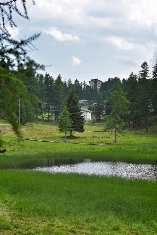 Albergo Casa Alpina San Luigi 캄포돌치노 외부 사진